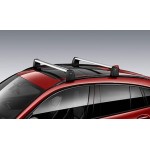 Originalūs BMW X4 G02 stogo skersiniai.